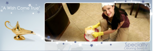 Specialty cleaning services in Toledo Ohio