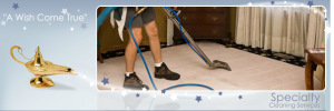 Specialty Cleaning Services for Toledo Home Owners and Businesses