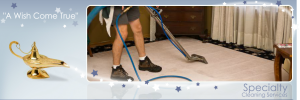 Specialty cleaning services in Toledo Ohio