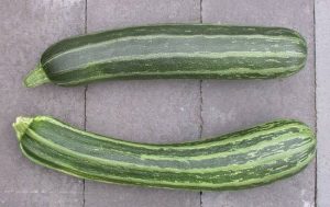 zucchini